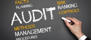 Statutory Accounts and Audit